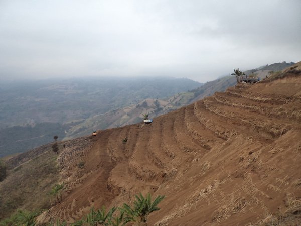 紅河州元陽縣南沙鎮(zhèn)石頭寨村土地整治（補(bǔ)充耕地）項(xiàng)目
