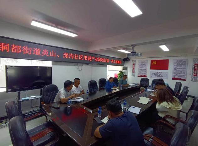 銅都街道炎山、深溝社區(qū)果蔬產(chǎn)業(yè)園建設(shè)項(xiàng)目