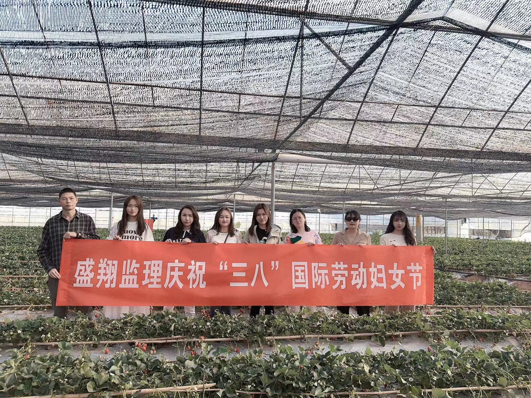 采擷春去 向“莓”好出發(fā) ——慶?！叭恕眹?guó)際勞動(dòng)?jì)D女節(jié)暨主題黨日活動(dòng)