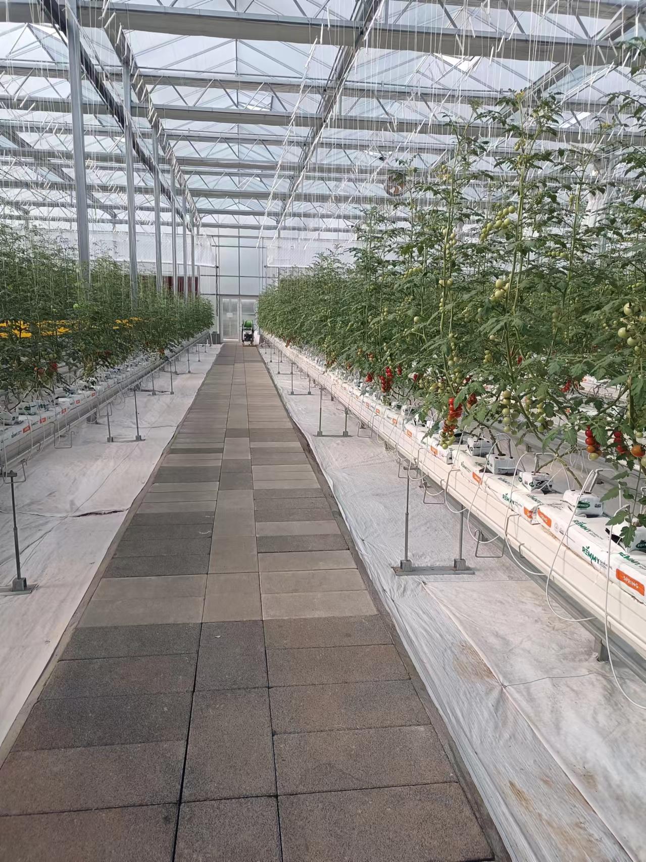 銅都街道炎山、深溝社區(qū)果蔬產(chǎn)業(yè)園建設(shè)項(xiàng)目