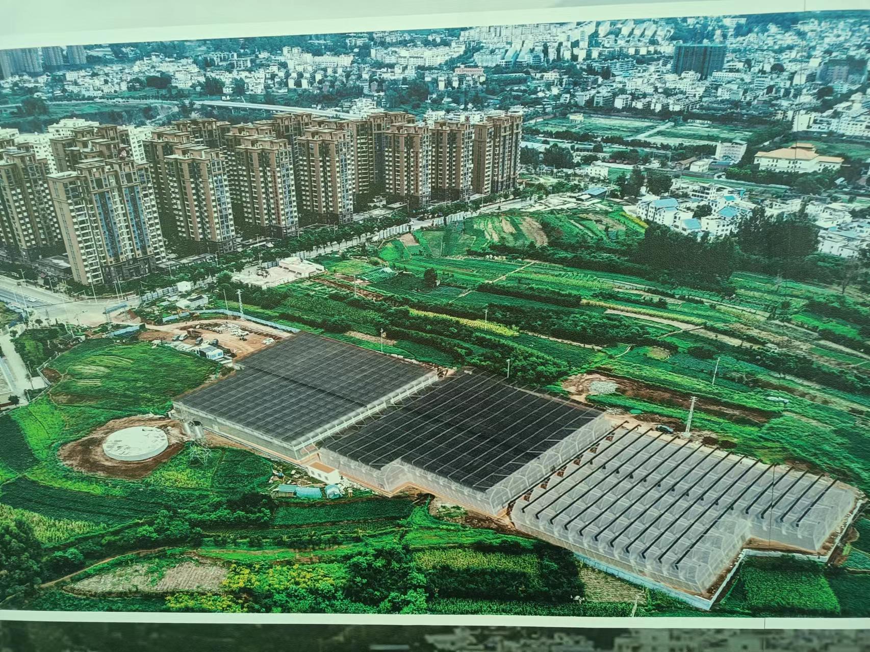 銅都街道炎山、深溝社區(qū)果蔬產(chǎn)業(yè)園建設(shè)項(xiàng)目