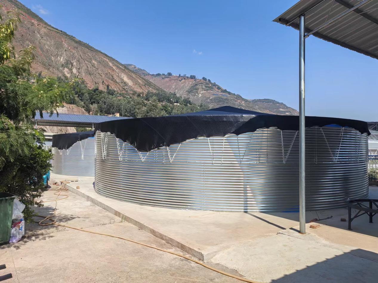 東川區(qū)現(xiàn)代農(nóng)業(yè)產(chǎn)業(yè)園（孵化基地）二期項(xiàng)目